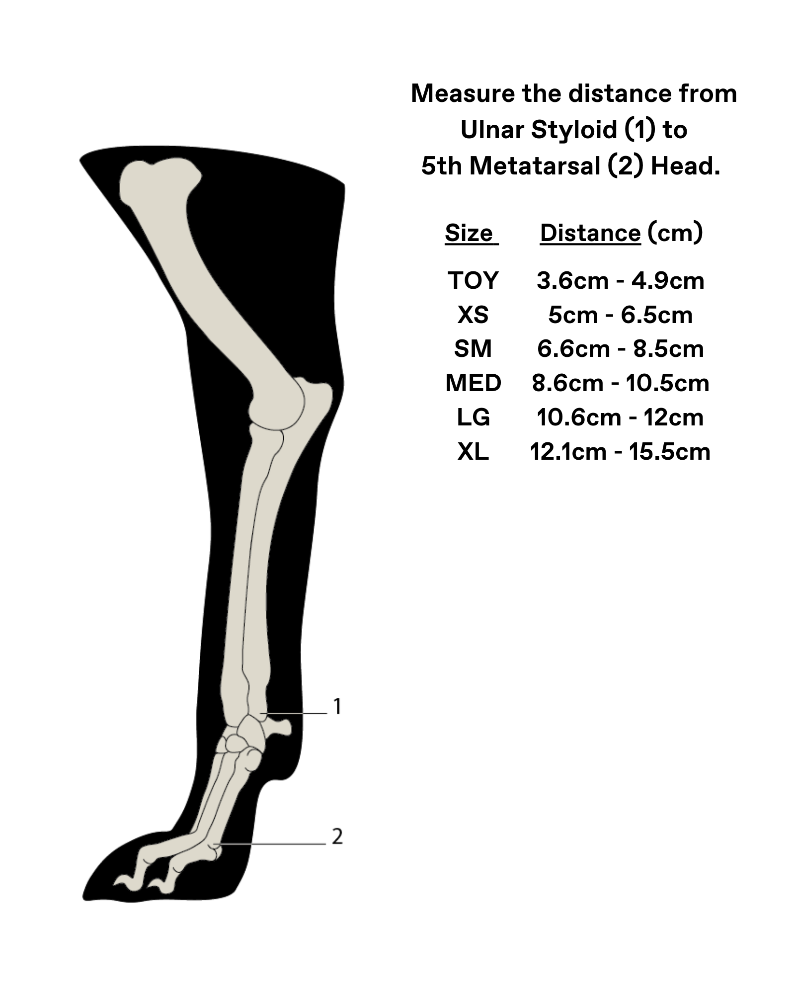 UPETS Carpus Splint